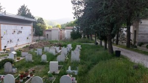 cimitero Piediluco erba alta (6)
